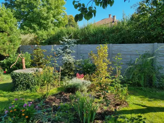 Jak betonové ploty a vyvýšené záhony pomáhají zlepšit bezpečnost a soukromí ve vaší zahradě
